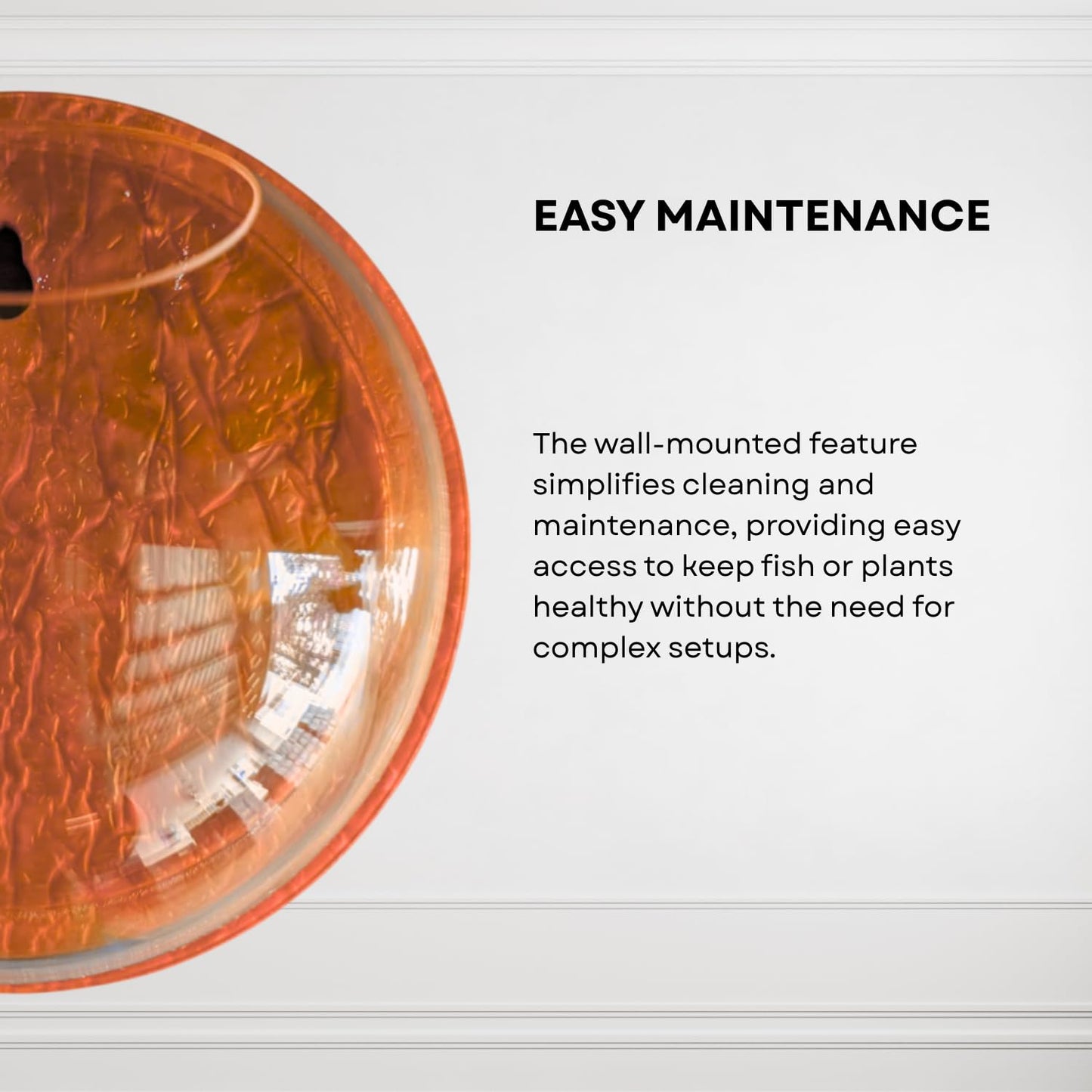 Wall Mount 6-inch Orange Round Shape Fish Bowl – Without Stand | Modern Aquarium for Home, Office & Café Décor | Compact and Space Saving Design | Elegant Fish Tank & Plant Terrarium