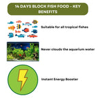 SF+ Star 14 Days Extended Holiday Fish Food, (Pack of 2) | Adequate Nourishment for Your Aquarium Fish