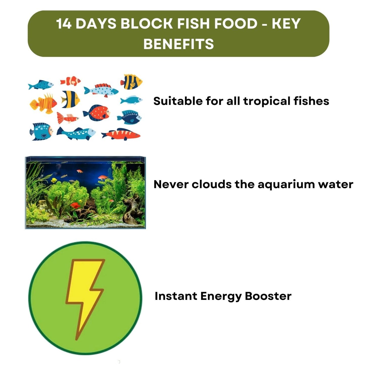 SF+ Star 14 Days Extended Holiday Fish Food, (Pack of 2) | Adequate Nourishment for Your Aquarium Fish