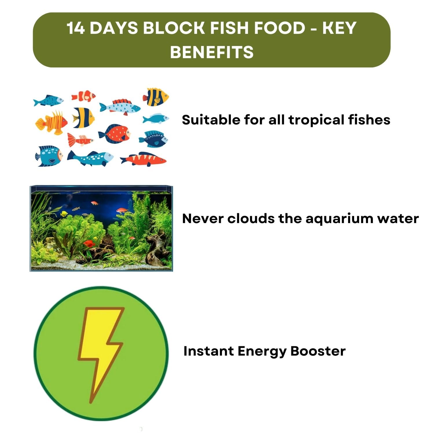 SF+ Star 14 Days Extended Holiday Fish Food, (Pack of 2) | Adequate Nourishment for Your Aquarium Fish