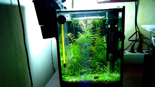 SOBO Hanging Filter WP-303H