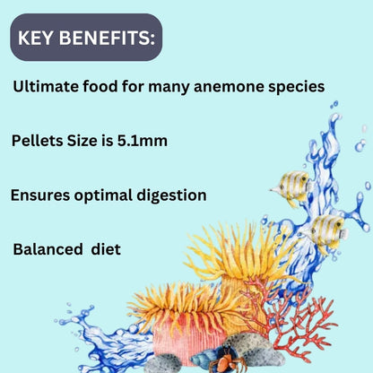 ON+ Anemone Pellets (Original from Tunai Store) | 100gms | The Power Food for Most Anemones (100gms, 5mm Pellets)