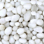 TUNAI Pebble Stones Substrate for Fish Tank, Aquarium, Terrarium, Paludarium (1KG) for Office and Home Decor, Plants and Other Purpose (White, Standard)