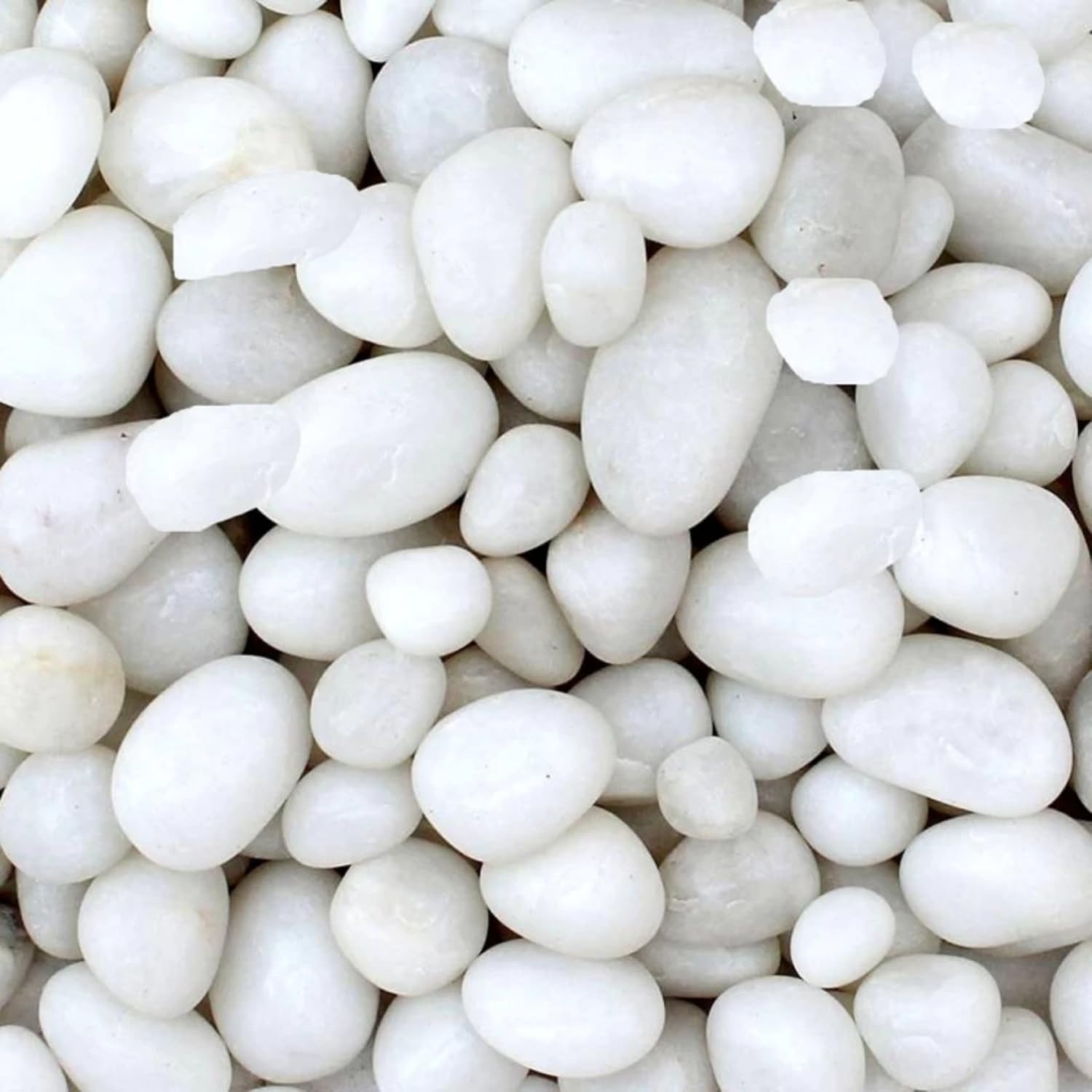 TUNAI Pebble Stones Substrate for Fish Tank, Aquarium, Terrarium, Paludarium (1KG) for Office and Home Decor, Plants and Other Purpose (White, Standard)