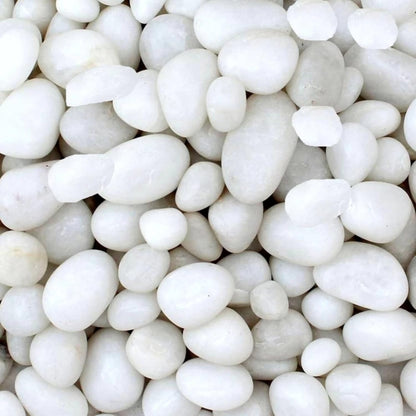 TUNAI Pebble Stones Substrate for Fish Tank, Aquarium, Terrarium, Paludarium (1KG) for Office and Home Decor, Plants and Other Purpose (White, Standard)