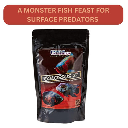 ON+ Colossus X2 Floating Protein Sticks Fish Food (Original from Tunai Store) | A Monster Fish Feast for Oscar, Cichlids, Arowana, Red Parrot & Other Monster Fish (500gms, Floating Sticks)