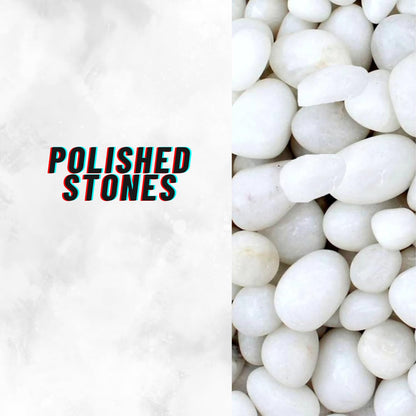 TUNAI Pebble Stones Substrate for Fish Tank, Aquarium, Terrarium, Paludarium (1KG) for Office and Home Decor, Plants and Other Purpose (White, Standard)