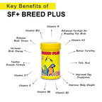 SF+ Breed Plus Advanced Formula for Bird Breeding |50g| Improves Better Fertility, Egg Production for Love Birds, Budgies, Cockteils & Finches