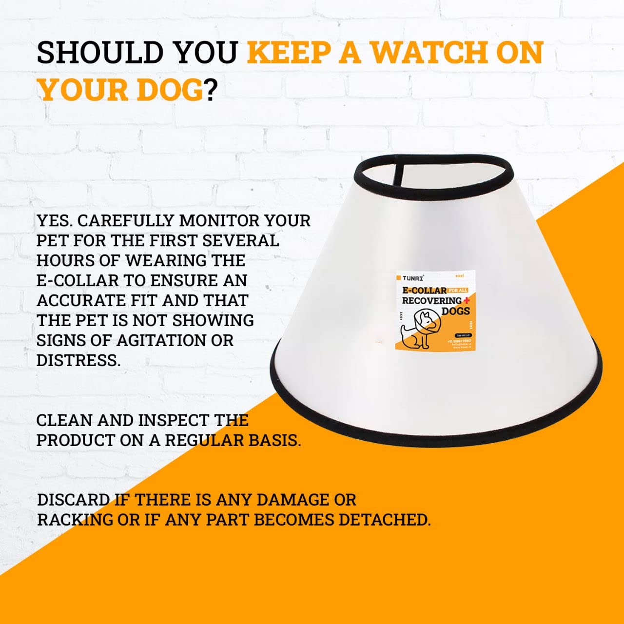 Tunai Elizabeth Dog Collar After Surgery Collar, Protective and Recovery Collar for Over 12 Months Old Small Breed Adult Dogs Like Pug, Shih TZU, Lhasa APSO, Dachshund, Size 4