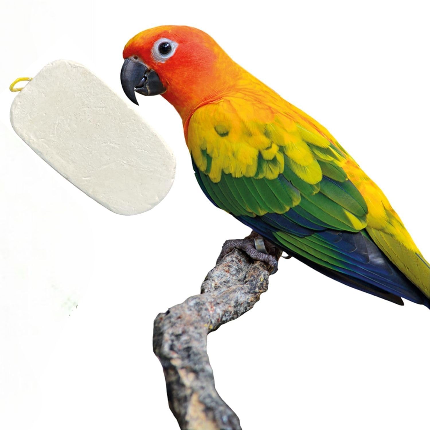 SF+ Royal Wings Calcium Mineral Blocks | Bird Food for Parrots, Love Birds, Finch, Cockatiel, Small Birds | Original Imported from Tunai Store (Pack of 2, Assorted Flavours)