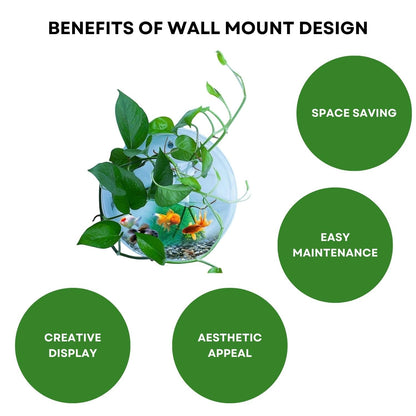 TUNAI Wall Mount Hanging Acrylic Aquarium Fish Tank | Glass 12-Inch Fish Bowl Suitable for Small Fish & Water Plants | Front - Transparent, Base -Multicolor | Best Fit for Home & Office Spaces