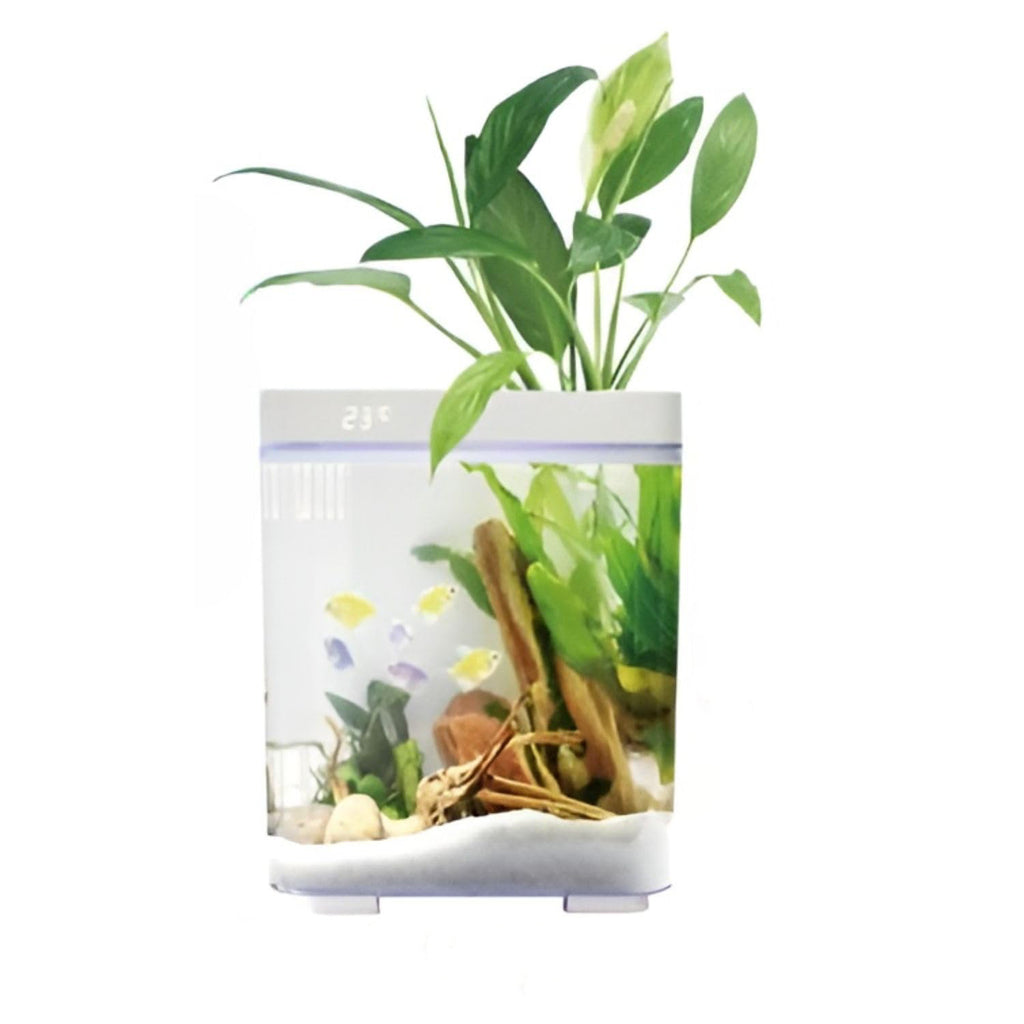 Dophin BT 120 Mini Aquarium Fish Tank | Complete Filtration | Compact and Elegant | Planting Basket | Capacity - 10L Fish Tank