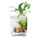 Dophin BT 120 Mini Aquarium Fish Tank | Complete Filtration | Compact and Elegant | Planting Basket | Capacity - 10L Fish Tank