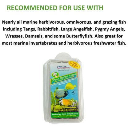 ON+ Green Marine Algae with Natural Garlic Extract 30g | Originally from TUNAI Store