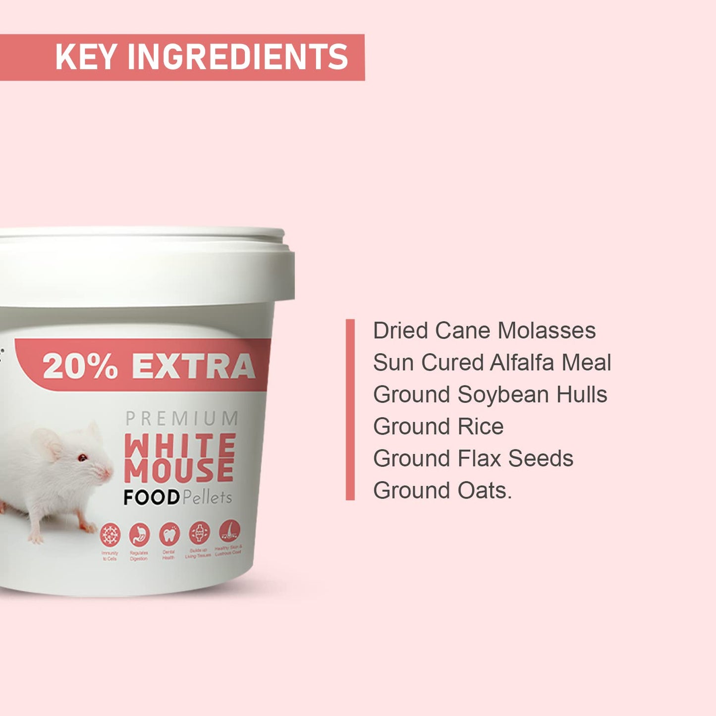 Tunai Rat Food |500g+20% Extra| Fortified with DHA Omega 3&6 and Vitamins for Better Skin Coat, and Easy Digestion, Suitable for All Lab Rats & White Mice