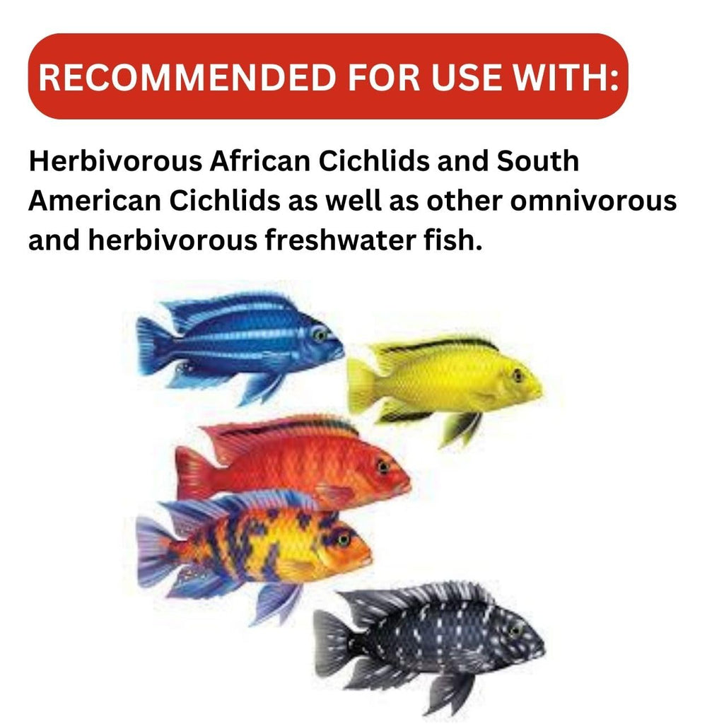 ON+ Cichlid Vegi Pellets Fish Food (Original from Tunai Store) | Special Formula for Herbivorous and Omnivorous Cichlids (100gms, Small Pellets)