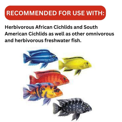 ON+ Cichlid Vegi Pellets Fish Food (Original from Tunai Store) | Special Formula for Herbivorous and Omnivorous Cichlids (100gms, Small Pellets)