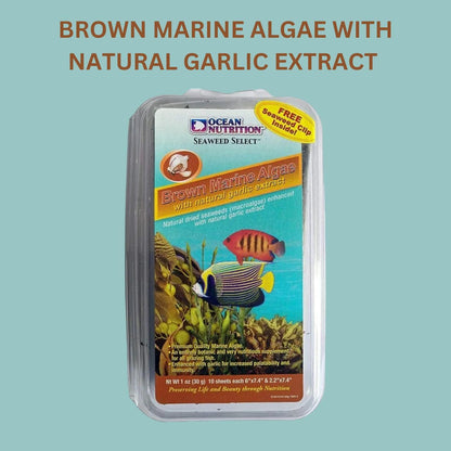 ON+ Brown Marine Algae with Natural Garlic Extract Fish Food (Original from Tunai Store) Marine Algae (30gms, Brown Marine Algae)