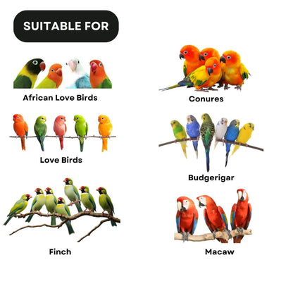 SF+ Birds Bite Organic Seeds Bird Food | Suitable for African Love Birds, Conures, Budgerigars, Finch & Macaws (400gms, Selected Organic Seeds)