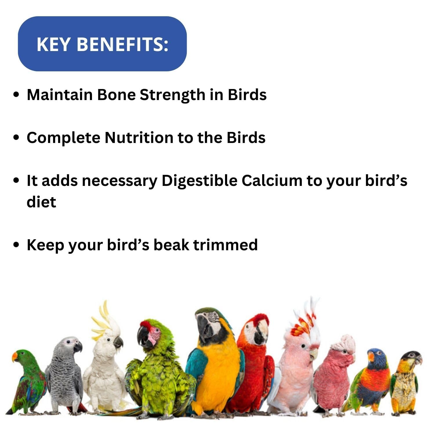 SF+ Royal Wings Calcium Mineral Blocks | Bird Food for Parrots, Love Birds, Finch, Cockatiel, Small Birds | Original Imported from Tunai Store (Pack of 2, Assorted Flavours)