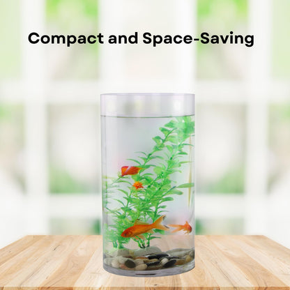 TUNAI 8-inch Cylindrical Fish Bowl for Small Fish, Plants | Optimum Fish Tank Choice for Office & Home Decor (White, Medium)