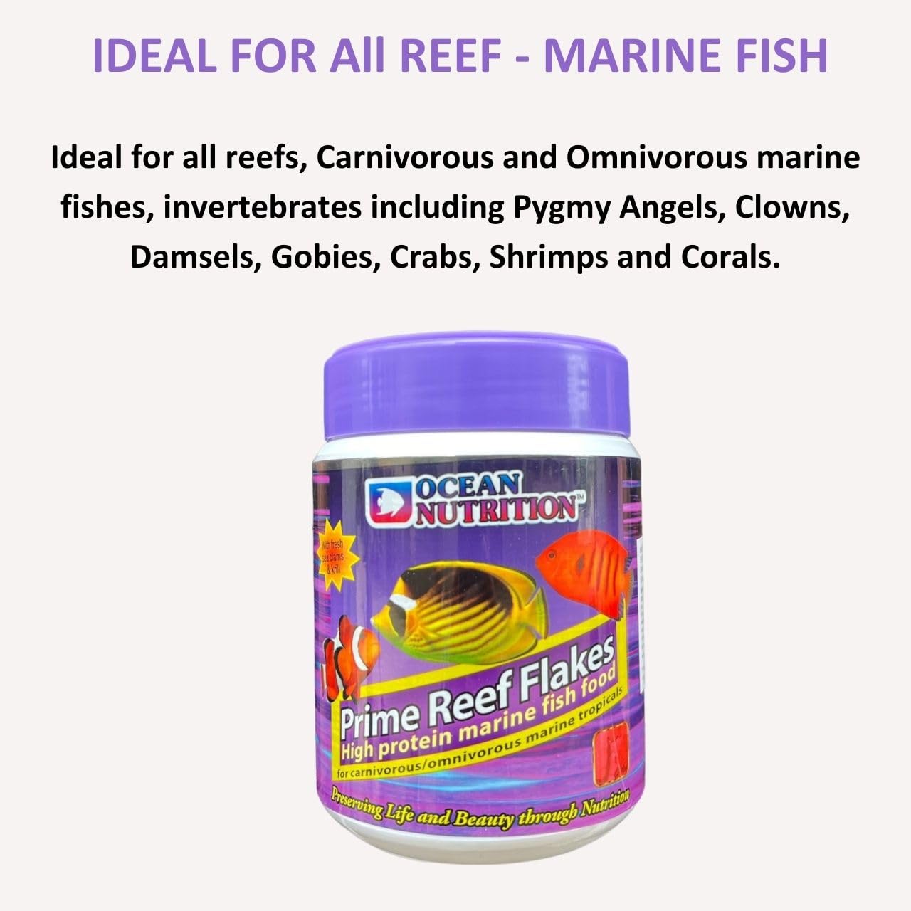 ON+ Prime Reef Flakes High Protein Marine Fish Food | 71g | Originally from TUNAI Store