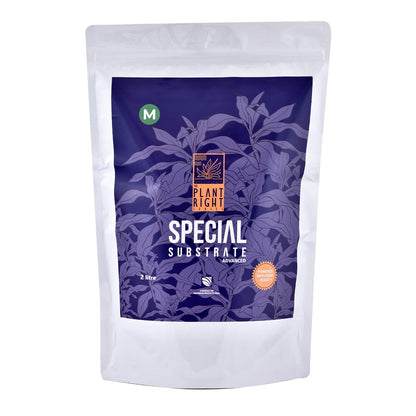 The Plant Right Series Special Substrate | Vibrant Aquatic Plants | The Ultimate Solution for Aquascaping Enthusiasts (2 L - Medium)