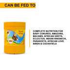 SF+ Royal Wings Hand Feeding Formula Bird Food | 250g | for All New Born Birds