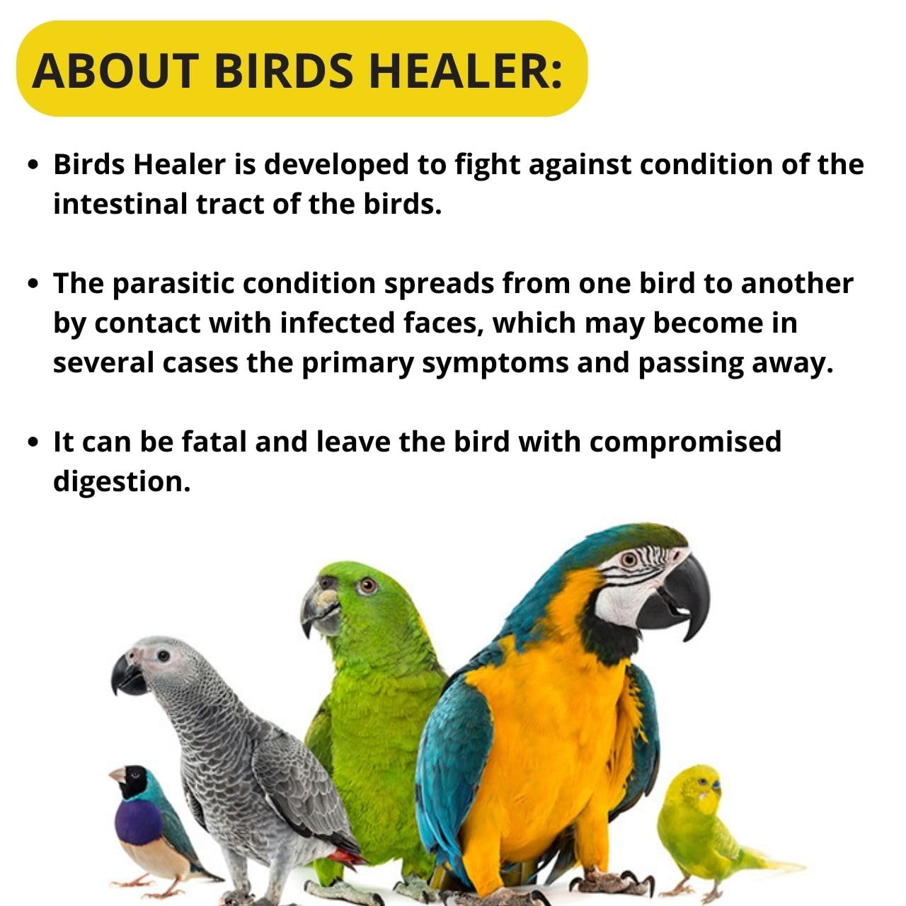 SF+ Bird's Healer Health Supplement | Health Supplement for Pet Birds | Original from TUNAI Store | 100gms