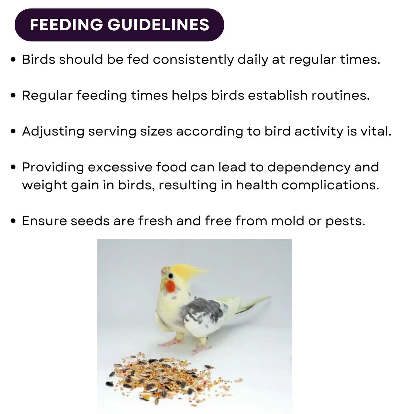 SF+ Mix Seeds for Birds | Natural, Hand-Picked and Protein Packed Seeds (500gms, Lovebird & Cockatiel)