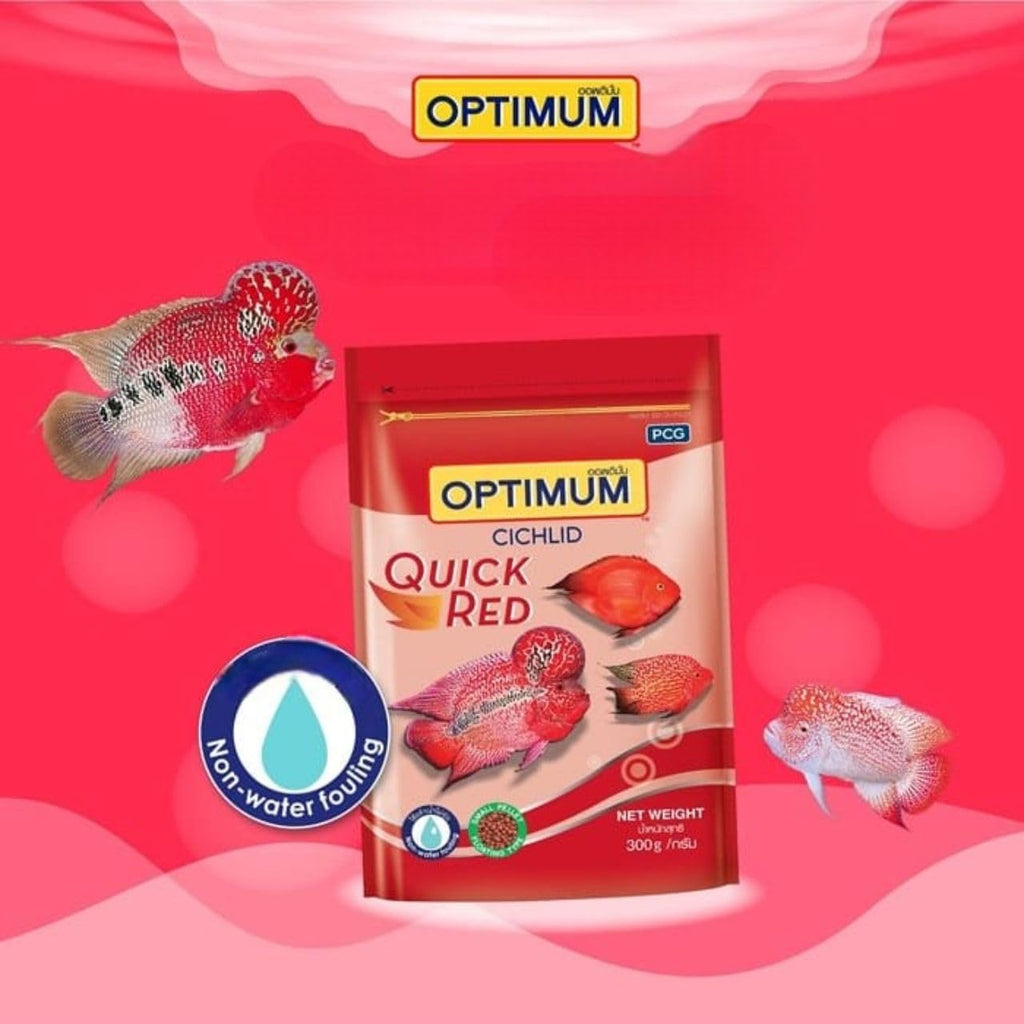 Optimum Cichild Quick Red Fish Food (Original from Tunai Store) (300g, Small Pellets)