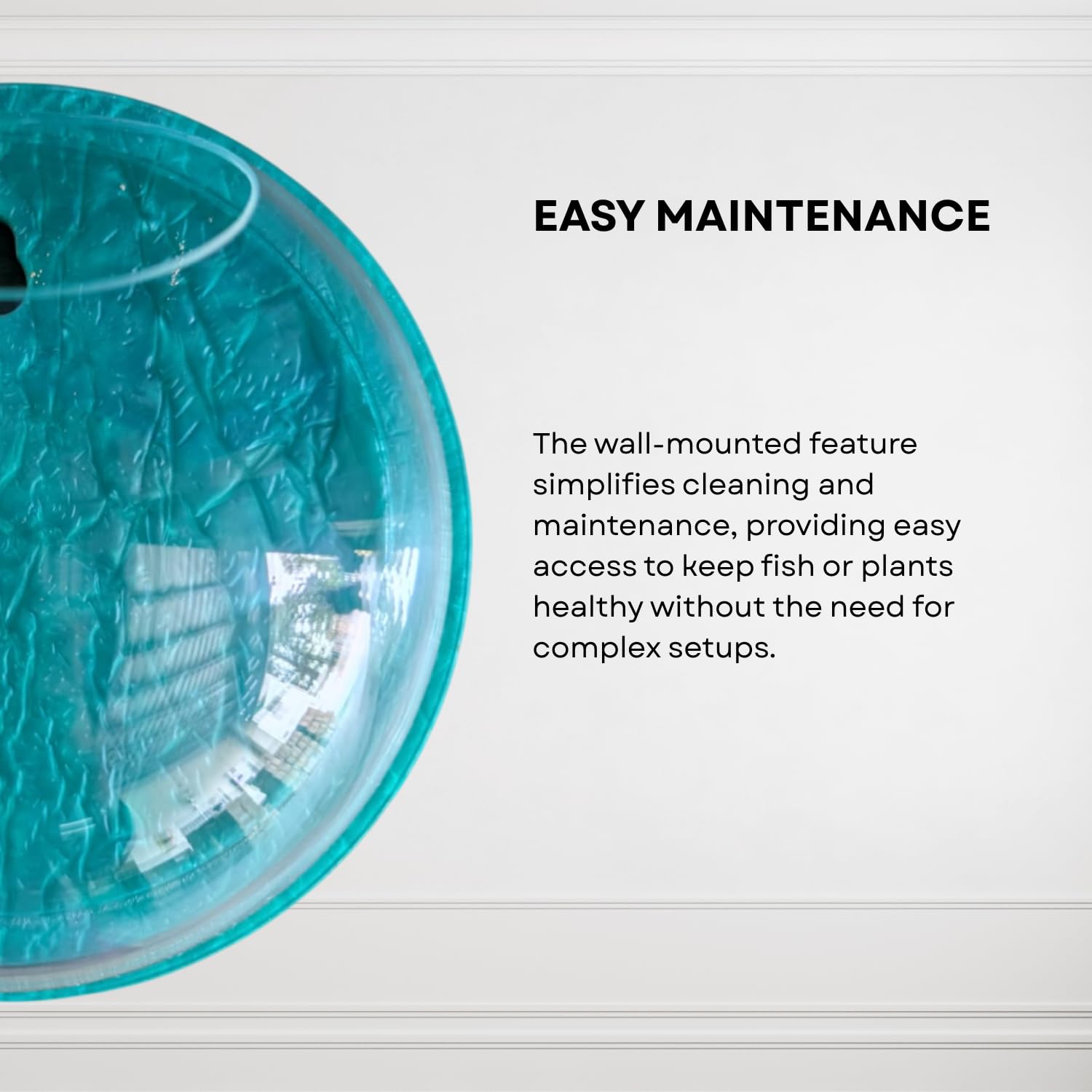 Wall Mount 12-inch Blue Round Shape Fish Bowl – Without Stand | Modern Aquarium for Home, Office & Café Décor | Space Saving & Compact Design | Elegant Fish Tank & Plant Terrarium