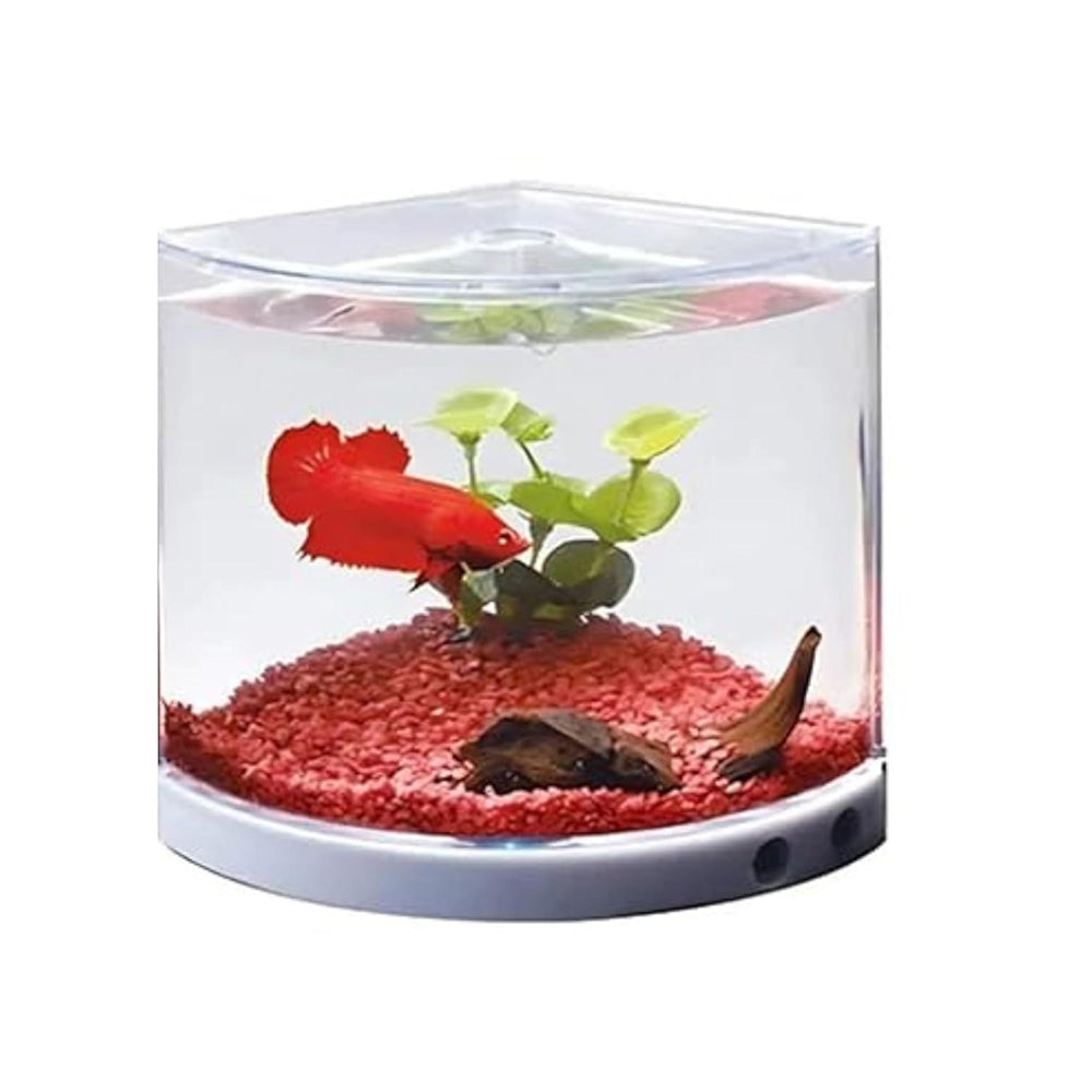 Dophin T201 Mini Aquarium Fish Tank | Changeable Light | Elegant and Stylish Design | Ideal for Betta, Small Fish and Plant Keeping |Capacity - 1.4L Fish Tank