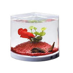 Dophin T201 Mini Aquarium Fish Tank | Changeable Light | Elegant and Stylish Design | Ideal for Betta, Small Fish and Plant Keeping |Capacity - 1.4L Fish Tank