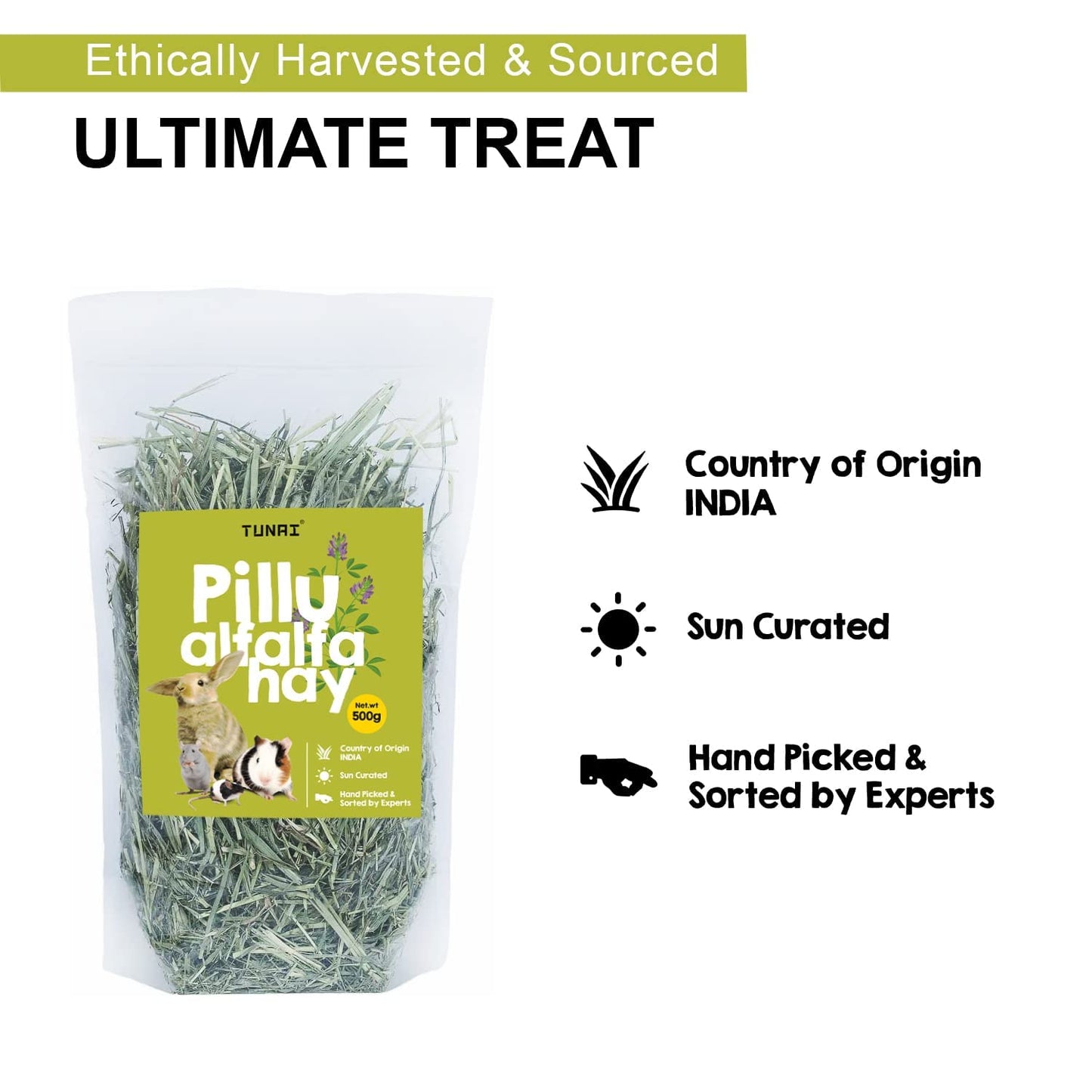 Tunai Pillu Alfalfa Sun Dried Hay for Small Animals Like Rabbit, Hamsters, Lactating Guinea Pigs and White Mice (Alfalfa Hay - 1Kg)