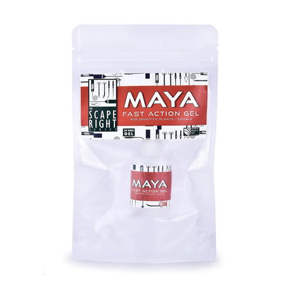 The Scape Right Series Fast Action Gel for Epiphytic Plants and Corals | Safe for Aquatic Life | Suitable for Freshwater & Marine Aquariums (50 GMS)