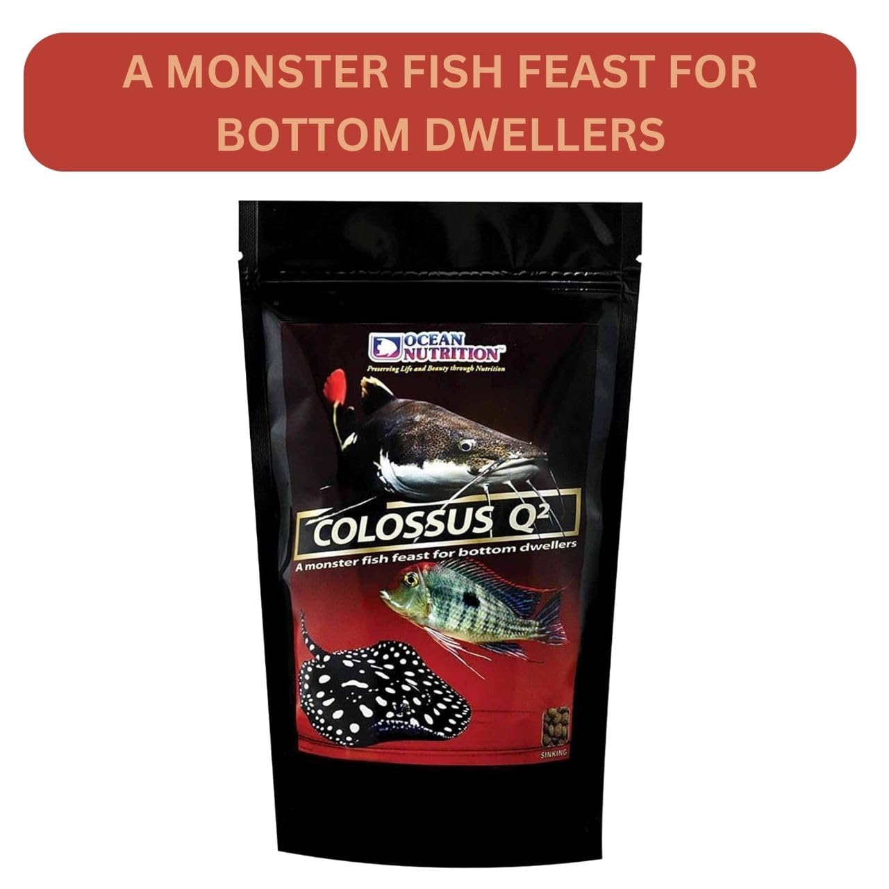 ON+ Colossus Q2 Sinking Protein Sticks Fish Food (Original from Tunai Store) | A Monster Fish Feast for Plecotomus, Cory Cat Fish, Loaches, Freshwater Stingrays (200gms, Sinking Pellets)
