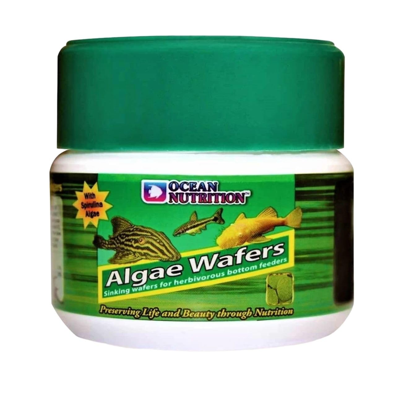 ON+ Algae Wafers Fish Food (Original from Tunai Store) | Sinking Wafers for Herbivorous Bottom Feeders (75gms, Sinking Pellets)