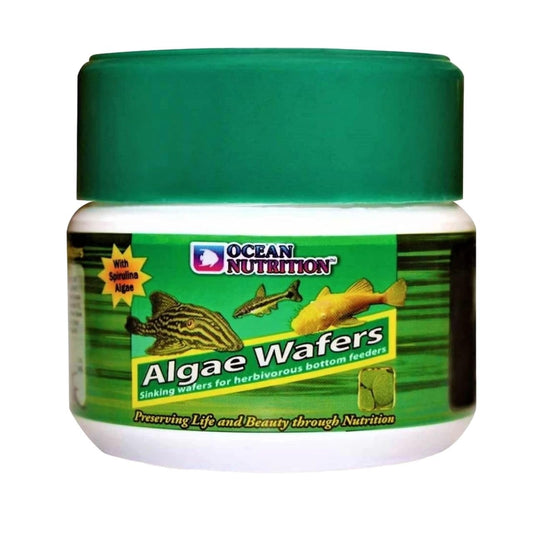ON+ Algae Wafers Fish Food (Original from Tunai Store) | Sinking Wafers for Herbivorous Bottom Feeders (75gms, Sinking Pellets)