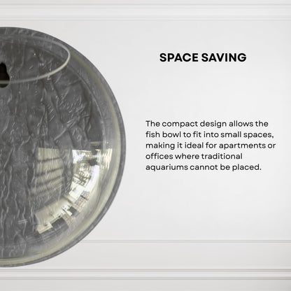 Wall Mount 6-inch Grey Round Shape Fish Bowl – Without Stand | Modern Aquarium for Home, Office & Café Décor | Compact and Space Saving Design | Elegant Fish Tank & Plant Terrarium