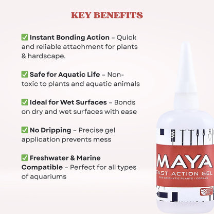 The Scape Right Series Fast Action Gel for Epiphytic Plants and Corals | Safe for Aquatic Life | Suitable for Freshwater & Marine Aquariums (20 gms)