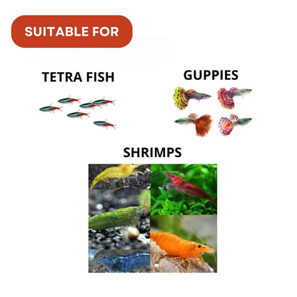 SF+ Artemia Flakes Fish Food | Nutritional Flake Food for Tetras, Guppies and Shrimps | Originally from TUNAI Store (25gms, Flakes)