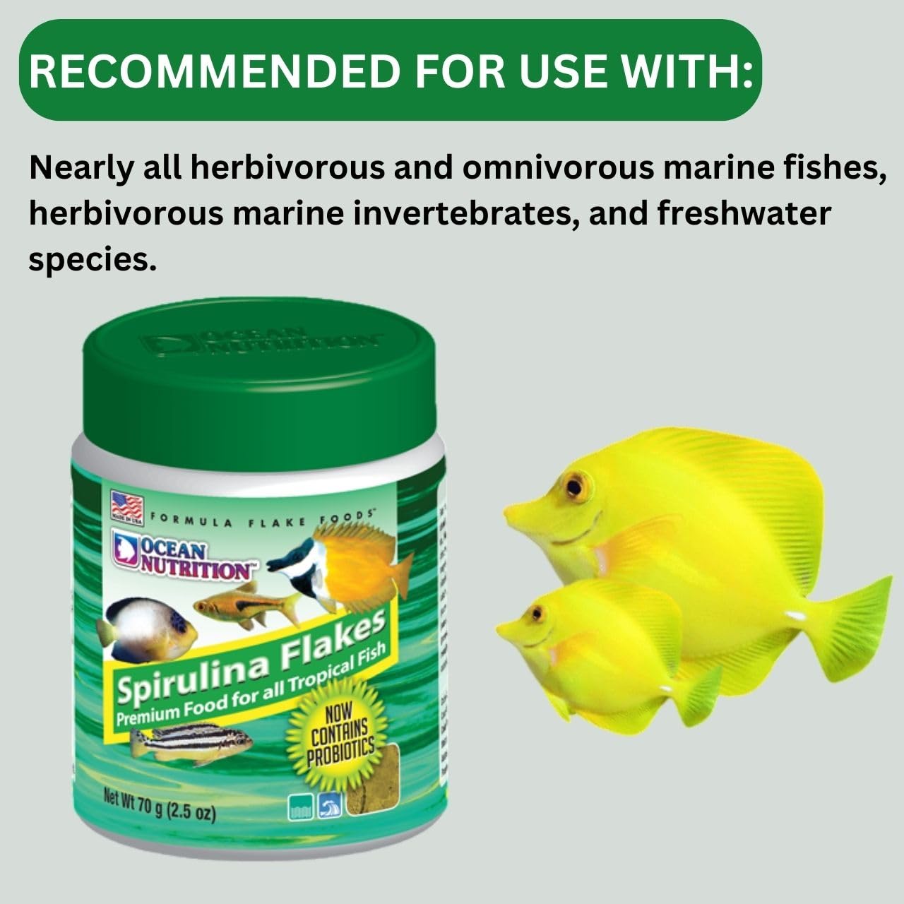 ON+ Spirulina Flakes Fish Food with Probiotics (Original from Tunai Store) | Premium Flake Food for All Tropical Fish (71gms, Flake)