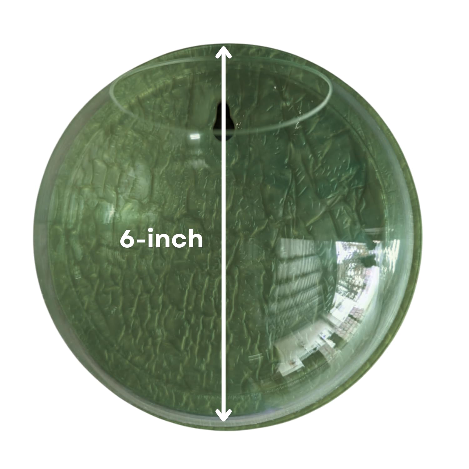 Wall Mount 6-inch Green Round Shape Fish Bowl – Without Stand | Modern Aquarium for Home, Office & Café Décor | Compact and Space Saving Design | Elegant Fish Tank & Plant Terrarium