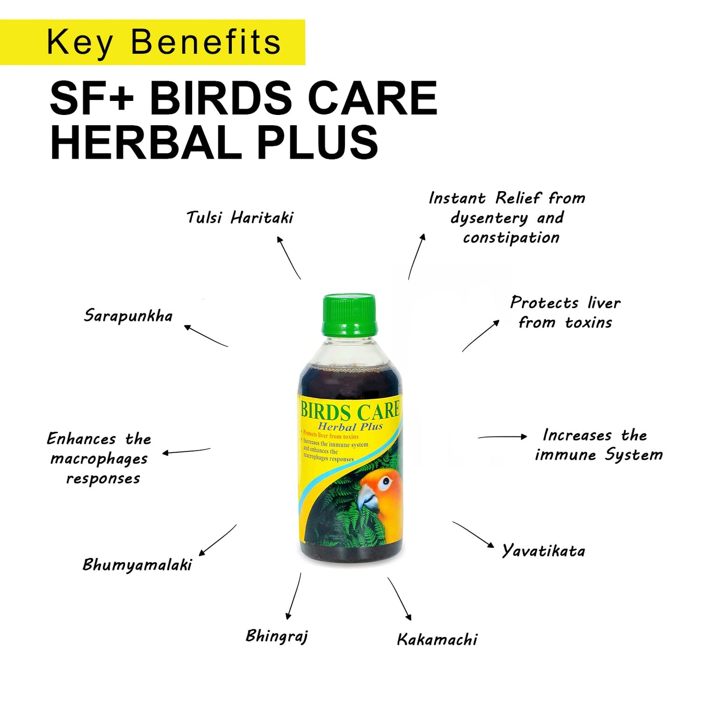 TUNAI Sf+ Birds Care Herbal Plus |100Ml| Assist In Protecting Liver From Toxins,Boost Immune System And Enhances Marcophages Repsonses