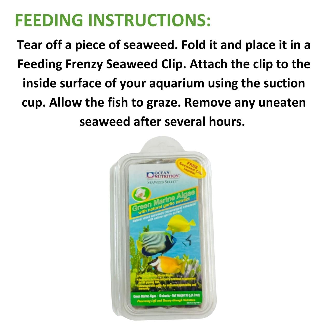 ON+ Green Marine Algae with Natural Garlic Extract 30g | Originally from TUNAI Store