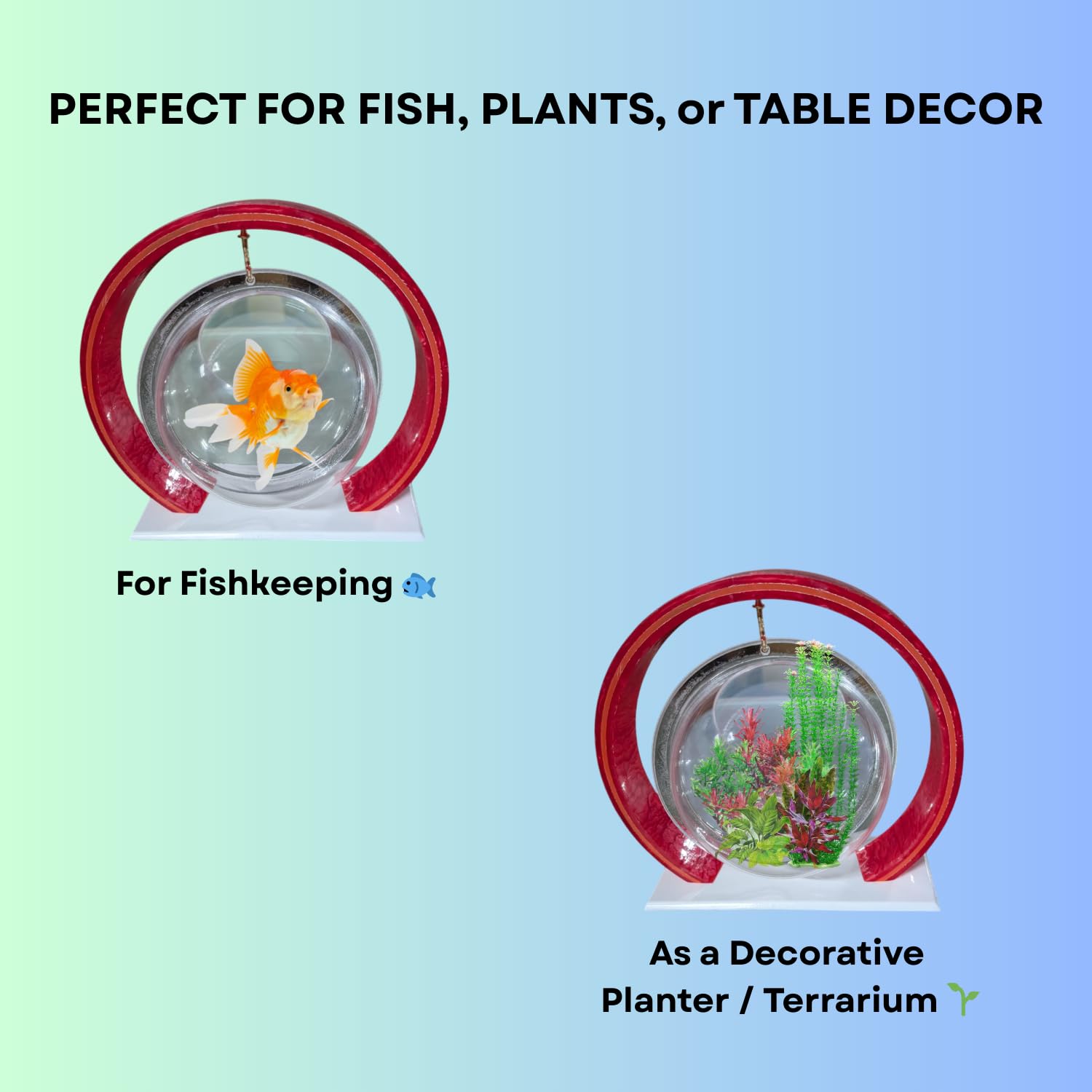Double Bowl 6-inch Red Round Fish Bowl – Standing & Hanging Decorative Aquarium for Home & Office | 2-in-1 Double Bowl Round Fish Tank