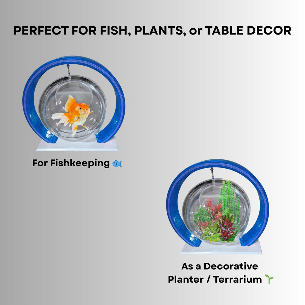 Double Bowl 6-inch Blue Round Fish Bowl – Standing & Hanging Decorative Aquarium for Home & Office | 2-in-1 Double Bowl Round Fish Tank