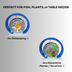 Double Bowl 6-inch Blue Round Fish Bowl – Standing & Hanging Decorative Aquarium for Home & Office | 2-in-1 Double Bowl Round Fish Tank