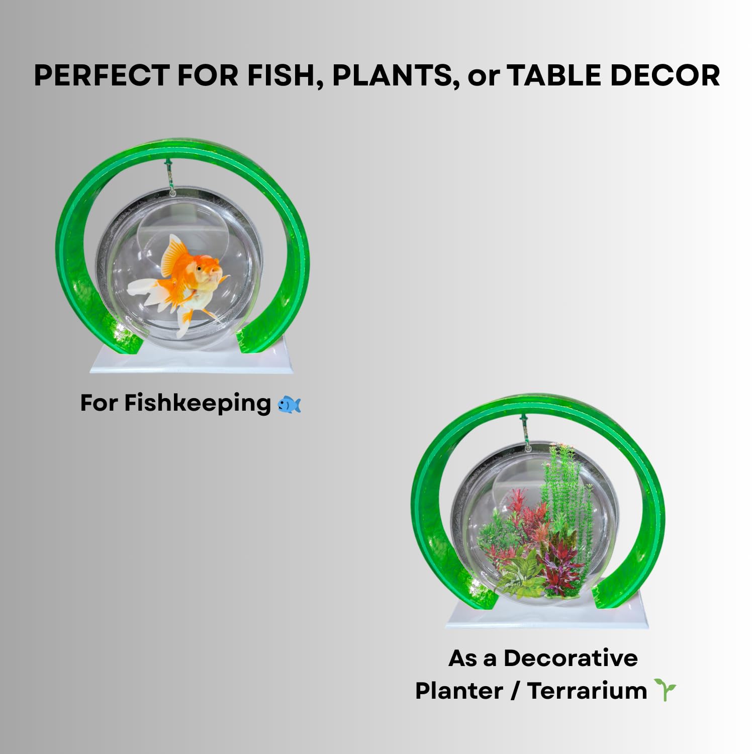 Double Bowl 6-inch Green Round Fish Bowl – Standing & Hanging Decorative Aquarium for Home & Office | 2-in-1 Double Bowl Round Fish Tank